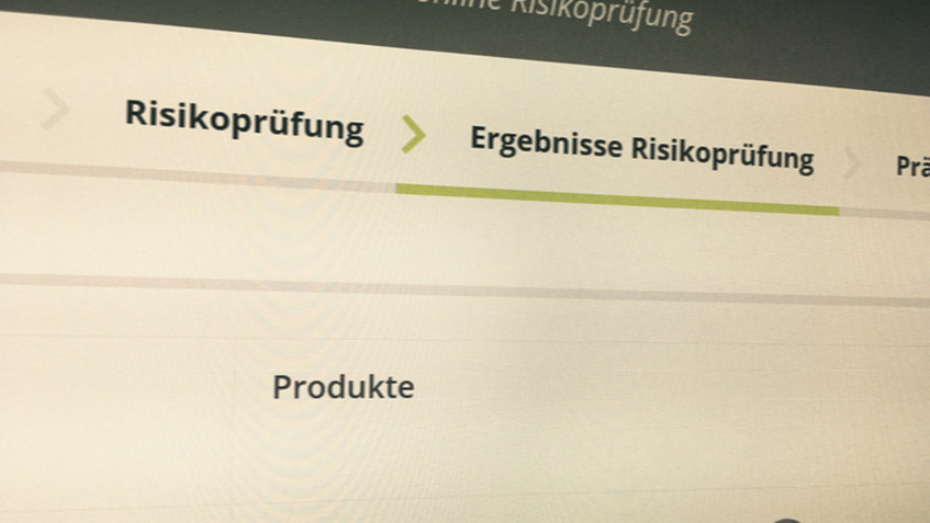 Risikoprüfung